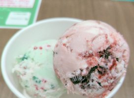 れいかちゃんのツイート