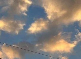 �� �� ������Υĥ�����