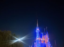 haruちゃんのツイート