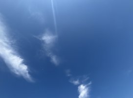 ���Ȥ����Υĥ�����