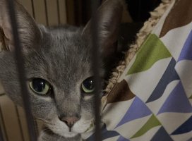 �����+�����Υĥ�����