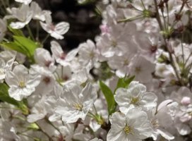 .+��Ρ�.�����Υĥ�����