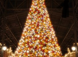 *+���+*�����Υĥ�����