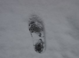 *+���+*�����Υĥ�����