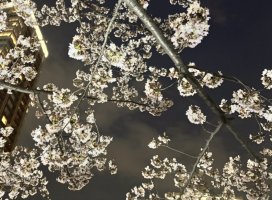 *+���+*�����Υĥ�����