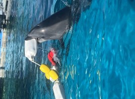 +*しの*ちゃんのツイート