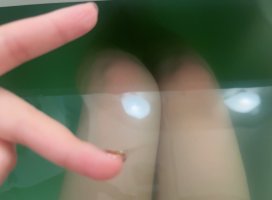 �ߤ�..*�������Υĥ�����