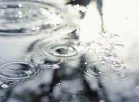 �ͥ͡�*�����Υĥ�����