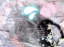 M�ʤĤ�M�����Υĥ�����