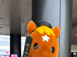 *�줤��*�������Υĥ�����