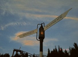 @もものちゃんのツイート