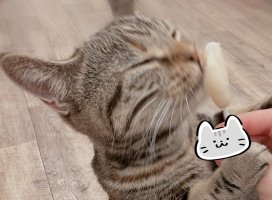 そら*//ちゃんのツイート