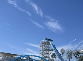 ももこ♡ちゃんのツイート