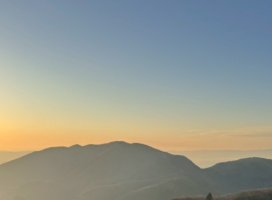 ももこ♡ちゃんのツイート