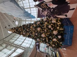 ひなな*ちゃんのツイート