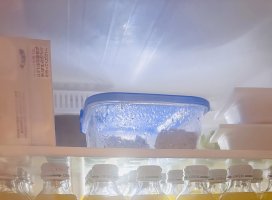 こはる♪⭐︎ちゃんのツイート