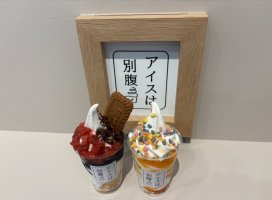 +����*�������Υĥ�����