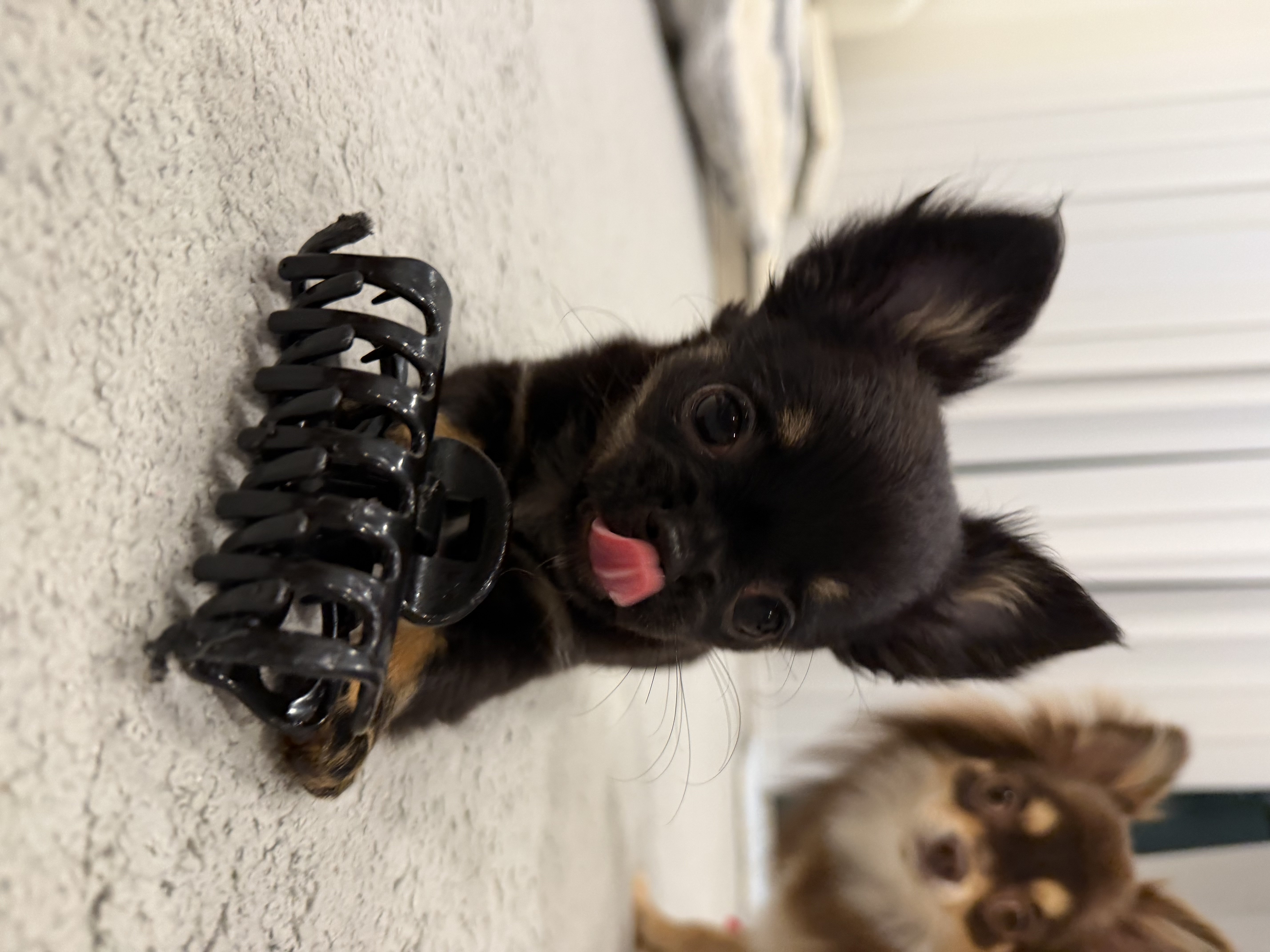 。めろ。*ちゃんのツイート