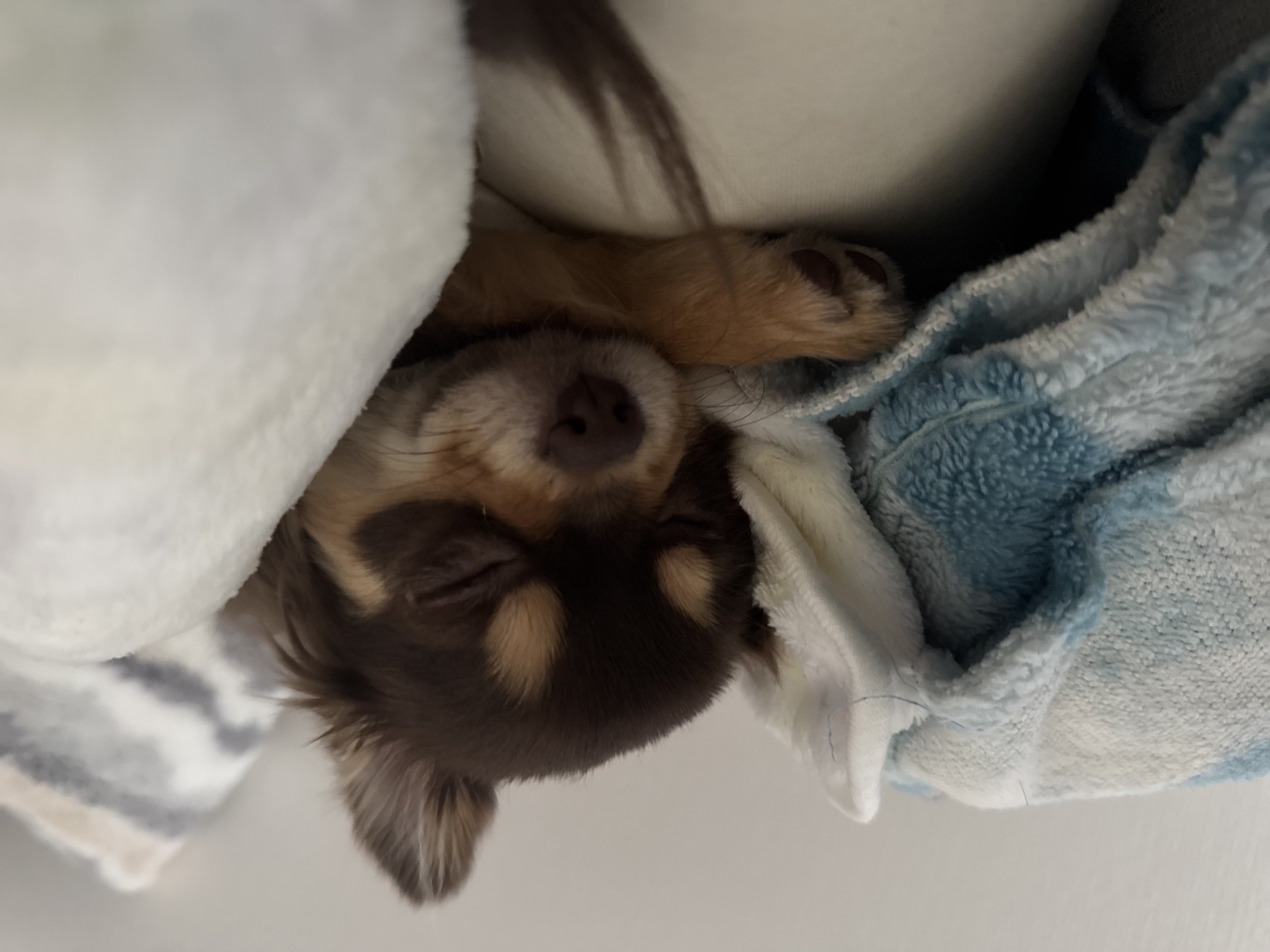 。めろ。*ちゃんのツイート