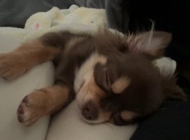 。めろ。*ちゃんのツイート