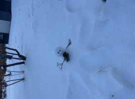 �������*�����Υĥ�����