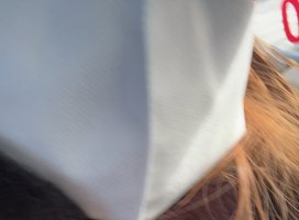 。めろ。*ちゃんのツイート