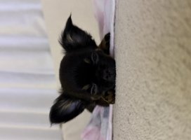 。めろ。*ちゃんのツイート