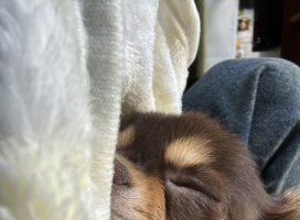 。めろ。*ちゃんのツイート