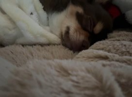 。めろ。*ちゃんのツイート