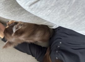 。めろ。*ちゃんのツイート