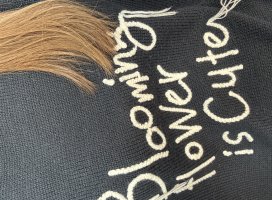 �������*�����Υĥ�����