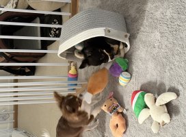 。めろ。*ちゃんのツイート