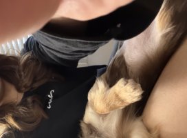 �������*�����Υĥ�����