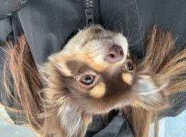 。めろ。*ちゃんのツイート