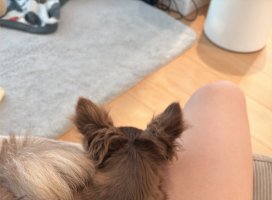 。めろ。*ちゃんのツイート