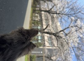 。めろ。*ちゃんのツイート