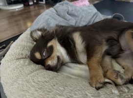 。めろ。*ちゃんのツイート