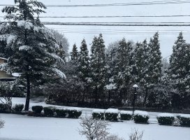 *.���ޤ�;�����Υĥ�����