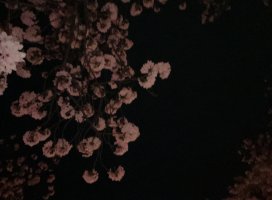 **ゆあ**ちゃんのツイート