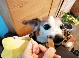 ���ޤ�����Υĥ�����