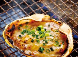 はるあちゃんのツイート