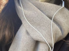 �ʤʤ����Υĥ�����