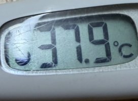 うさぎ✫彡ちゃんのツイート