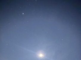 うさぎ✫彡ちゃんのツイート