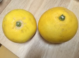 うさぎ✫彡ちゃんのツイート