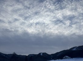 �Ҥ��*�������Υĥ�����