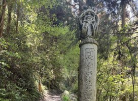 �Ҥ��*�������Υĥ�����