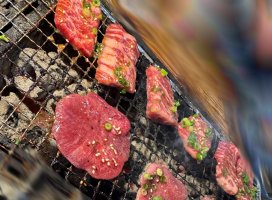 �Ҥ��*�������Υĥ�����