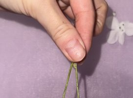 �Ҥ��*�������Υĥ�����