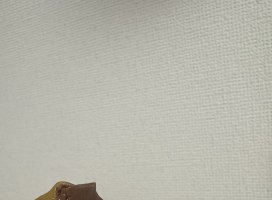 �Ҥ��*�������Υĥ�����